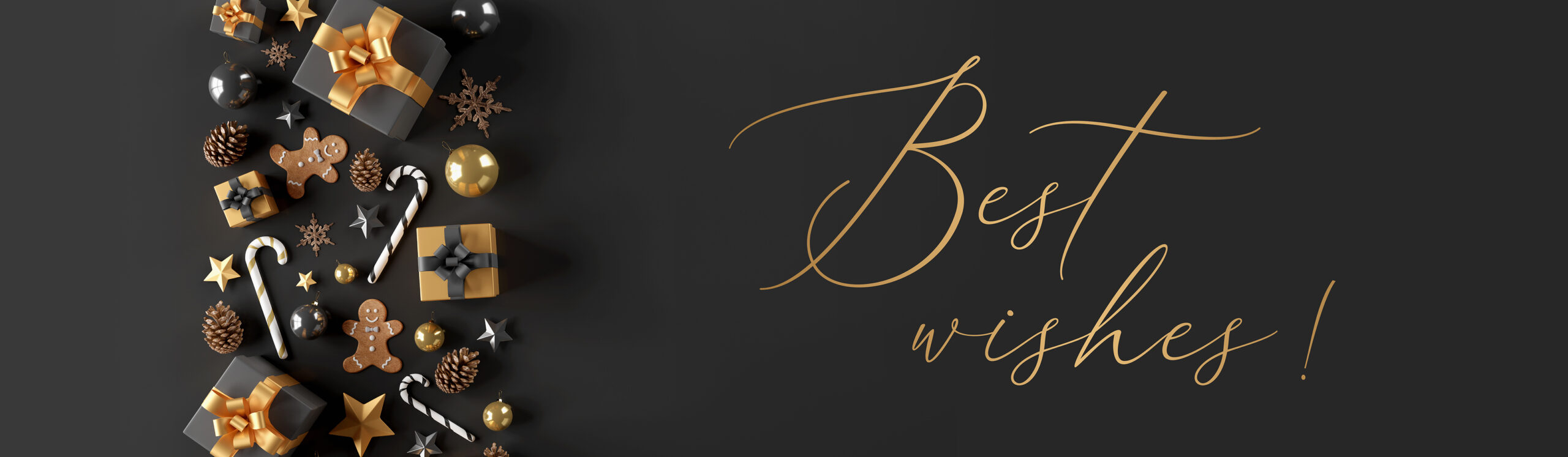 Encart-web-Noel-8000x2334px polymix